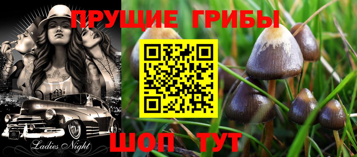 Галлюциногенные грибы мицелий Сарапул