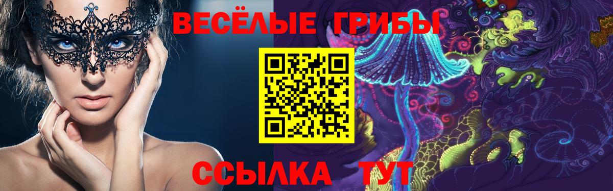 Сарапул  Псилоцибиновые грибы Psilocybe  Вход с VPN 